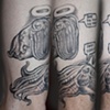 Cussing cuttlefish