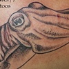 cuttlefish