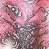 dogwood tree with pinks