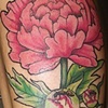 Peony and ants