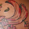 koi over the shoulder