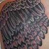 Wings after