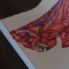 T-Rex