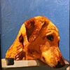 Dog Portrait