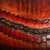 Assemblage