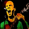 Dave Matthews