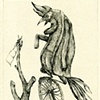 Bandiera Bianca