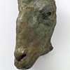 Sheep Fragment