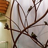 Tree of Birds 
Elisabeth Nickles & Ruby Westcoat