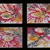 Orb Series