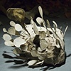 Turtlehead Disintegrating