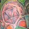 Freds Sleeve