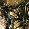 Metamorphosis 1