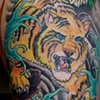 Mike's Tiger