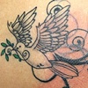 Dove