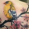 Yellow Bird