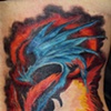 Dragonphoenix