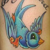 Baby Bird