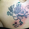 Dove