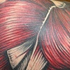Bill's shoulder