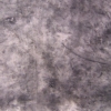 Untitled (oak)