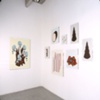 Exhibitions