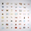 Exhibition, Sixtyseven, Brooklyn NY