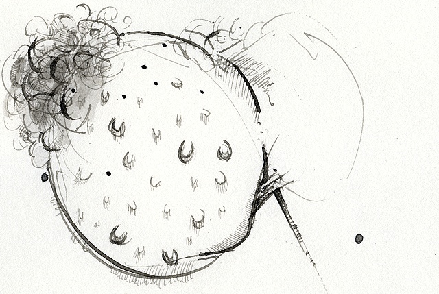 Prick Pin