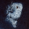 Moist (detail)