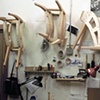 Mammals (at home)