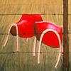 Saddle Stools