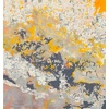 Untitled (Number Eleven)