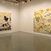 L to R: "Untitled (Number Four)",  "Regeneration"

Hunter College MFA Thesis Exhibition, 2009
Times Square Gallery, NY, NY