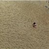 ON THE BEACH'S