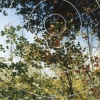 turning on nature - 13