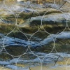 turning on nature - 14