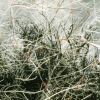 Turning on Nature - 3