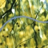 Turning on Nature - 6