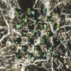 turning on nature - 15