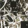 Turning on Nature - 9