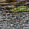 Turning on Nature - 11
