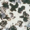 North Aspy - 4