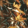 Turning on Nature - 5
