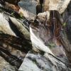 Turning on Nature - 10
