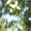 Turning on Nature - 4