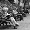 Reading in the park