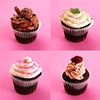 Chocolate Cupcakes