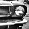 Stang
