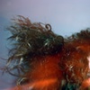 hair.