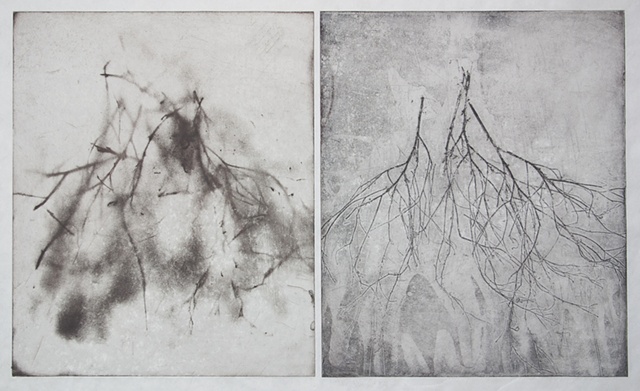Transient